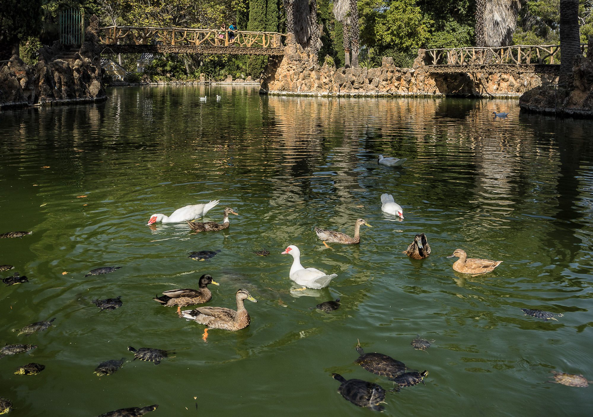 visits to Samà Park in Cambrils